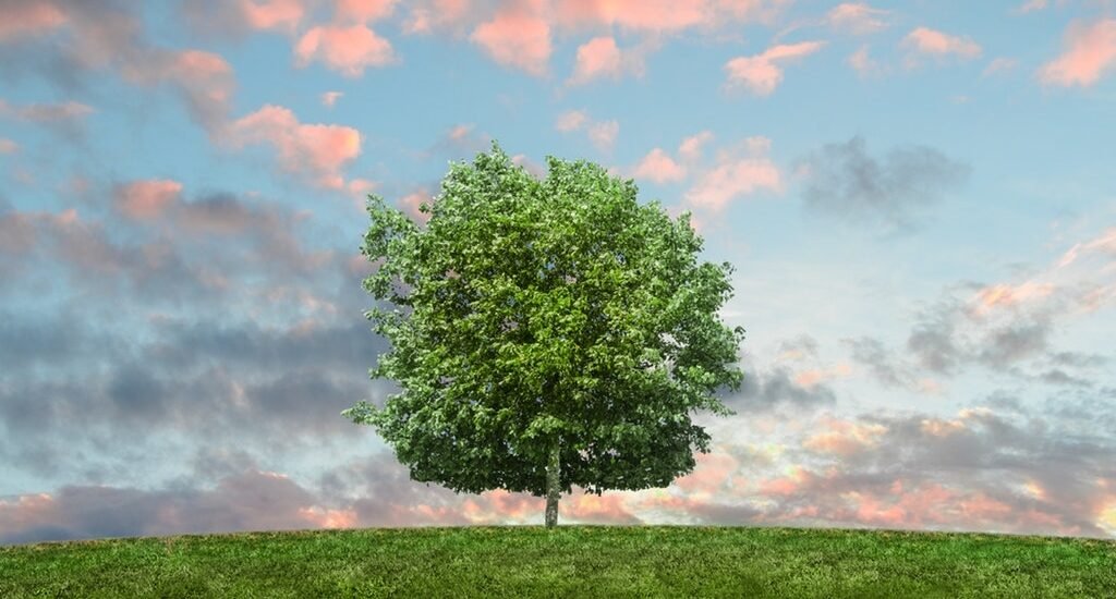 Materia Ambiental Materia Ambiental